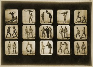「動物の移動」シリーズ、1881年頃のアスリートの姿勢 作： Eadweard Muybridge